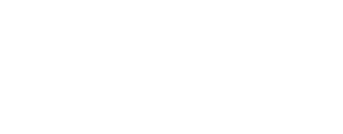 TaskForge IT